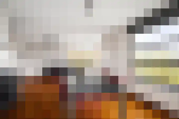 de Jongstraat 55 Vorden thumbnail 10