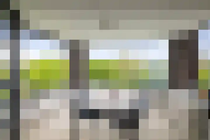 de Jongstraat 55 Vorden thumbnail 13