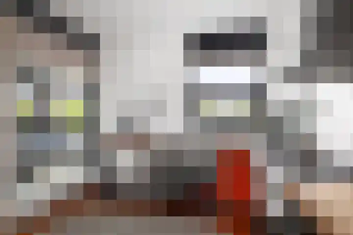 de Jongstraat 55 Vorden thumbnail 16