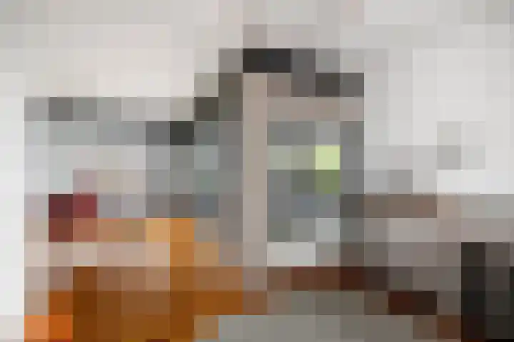 de Jongstraat 55 Vorden thumbnail 17