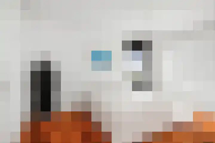 de Jongstraat 55 Vorden thumbnail 19