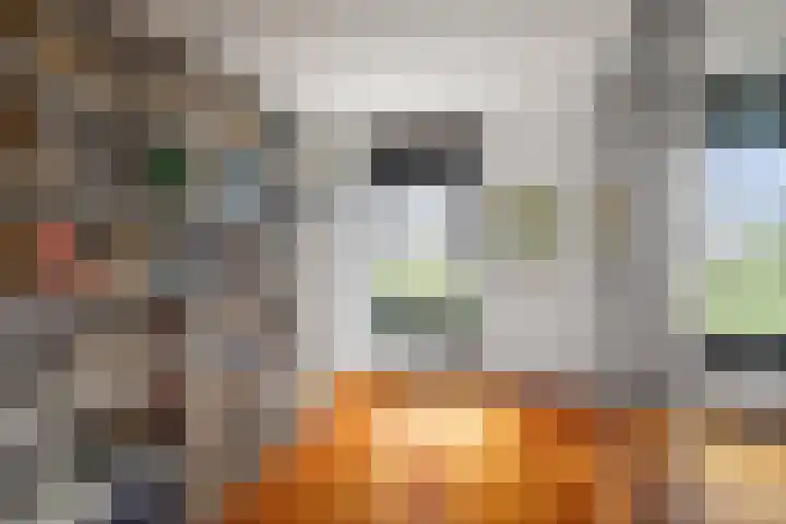 de Jongstraat 55 Vorden thumbnail 23