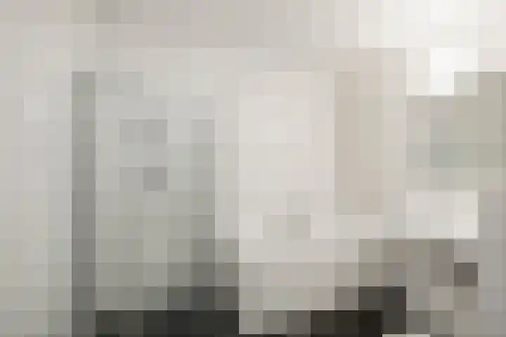 de Jongstraat 55 Vorden thumbnail 25