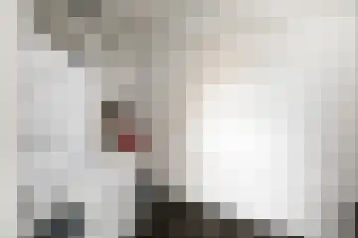 de Jongstraat 55 Vorden thumbnail 30
