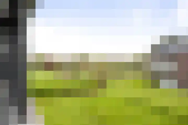de Jongstraat 55 Vorden thumbnail 31
