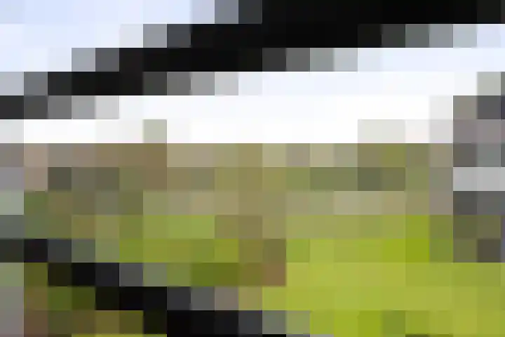 de Jongstraat 55 Vorden thumbnail 32