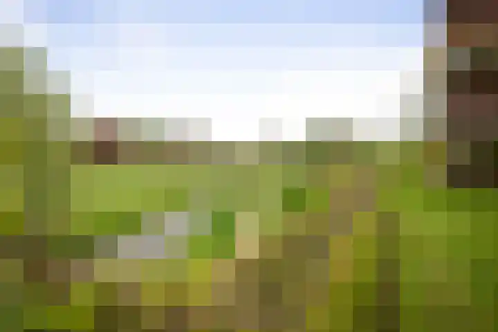de Jongstraat 55 Vorden thumbnail 35
