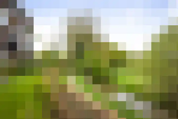 de Jongstraat 55 Vorden thumbnail 36