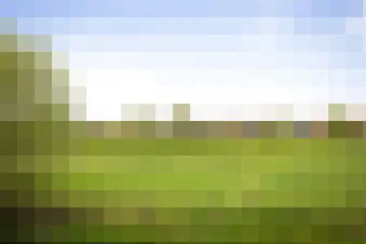 de Jongstraat 55 Vorden thumbnail 37