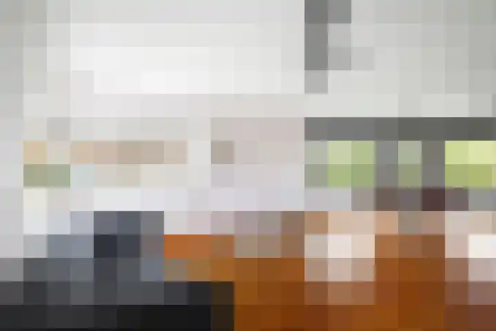 de Jongstraat 55 Vorden thumbnail 4