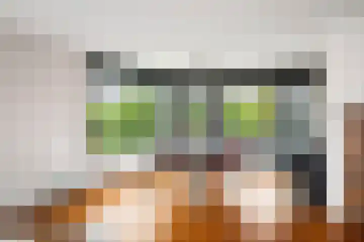 de Jongstraat 55 Vorden thumbnail 5