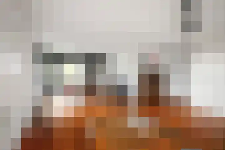 de Jongstraat 55 Vorden thumbnail 6
