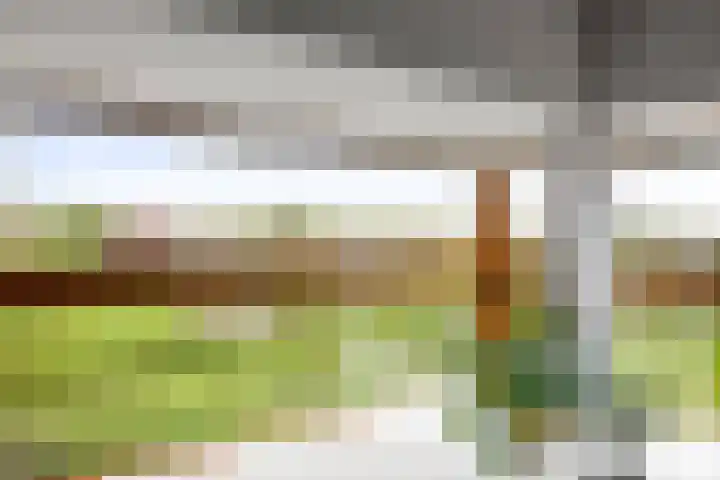 de Jongstraat 55 Vorden thumbnail 7