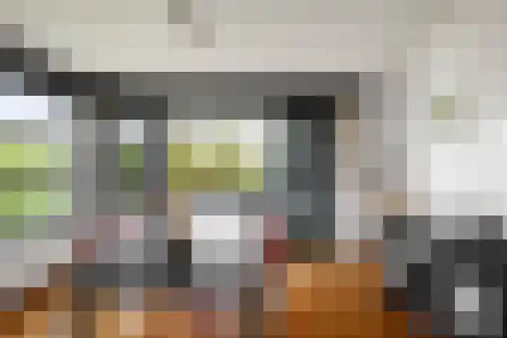 de Jongstraat 55 Vorden thumbnail 8