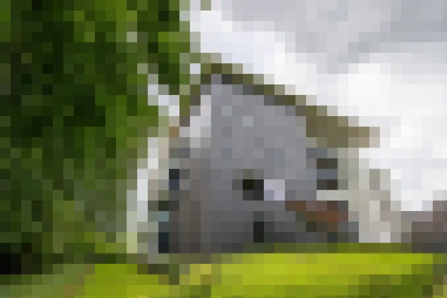 de Jongstraat 6 05 Doetinchem thumbnail 4