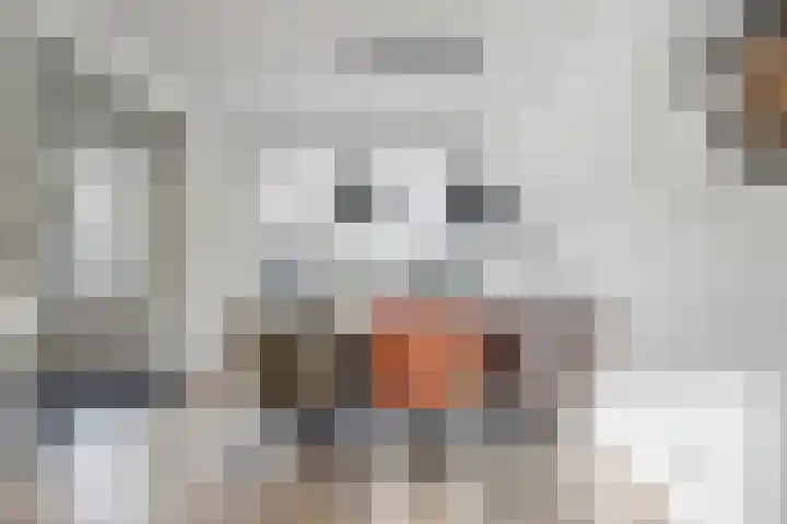 De Jongstraat 6 Reeuwijk thumbnail 12