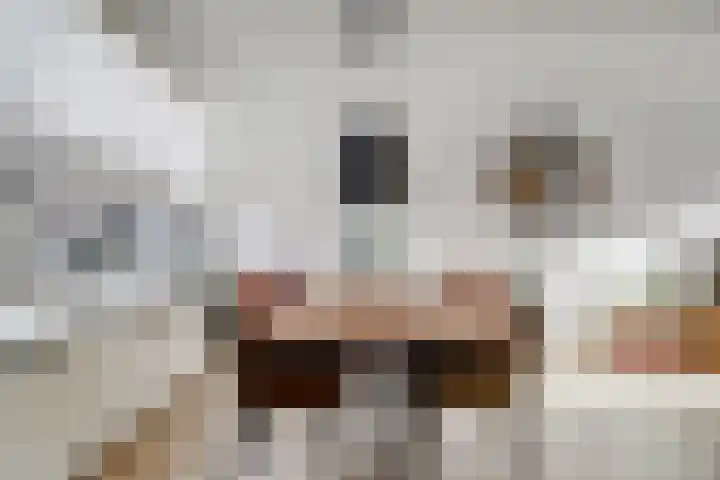 De Jongstraat 6 Reeuwijk thumbnail 13