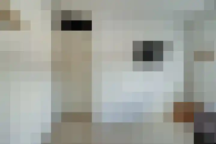 De Jongstraat 6 Reeuwijk thumbnail 19