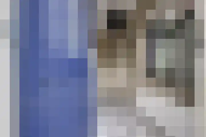 De Jongstraat 6 Reeuwijk thumbnail 6