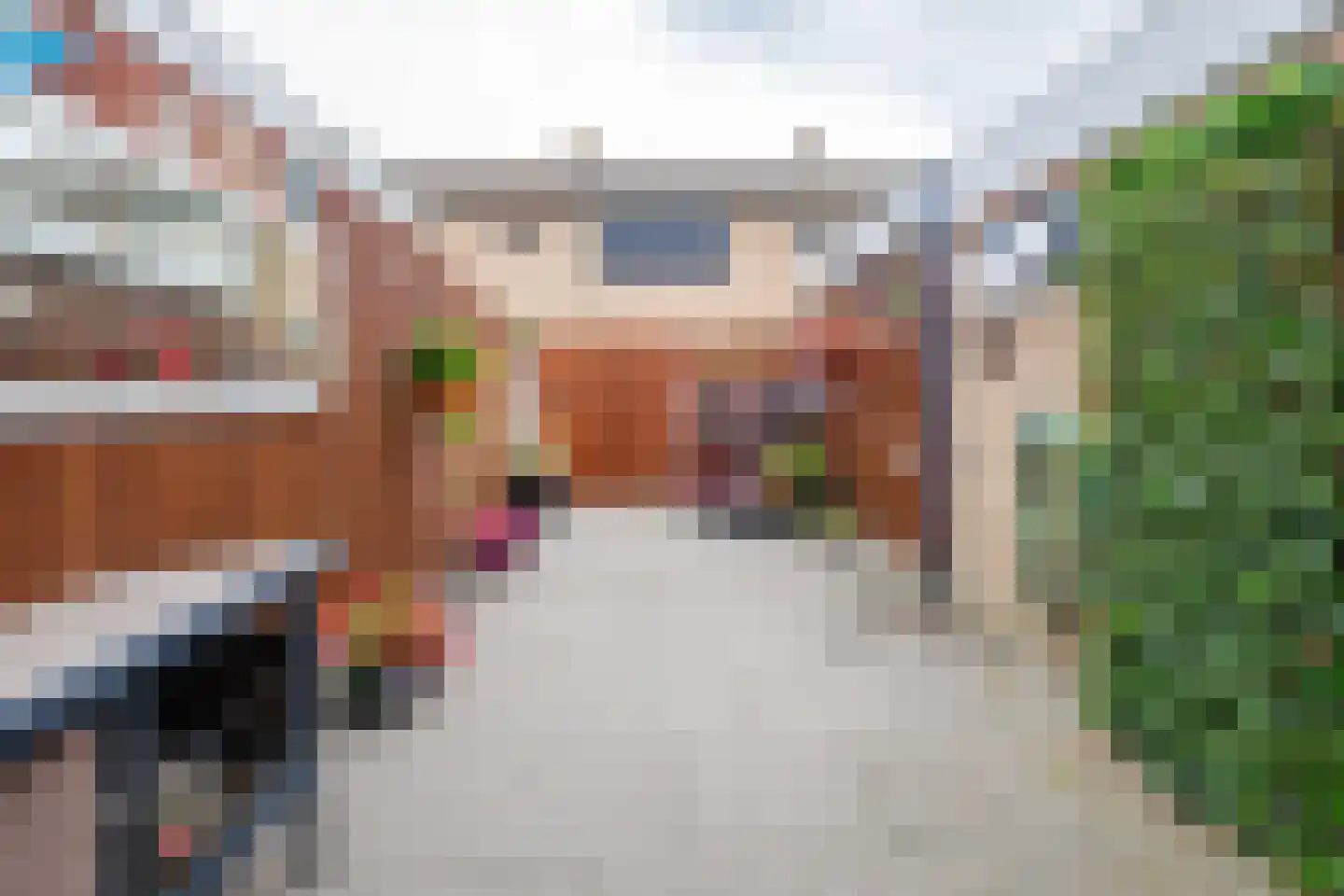 de Jongstraat 64 Doetinchem thumbnail 18