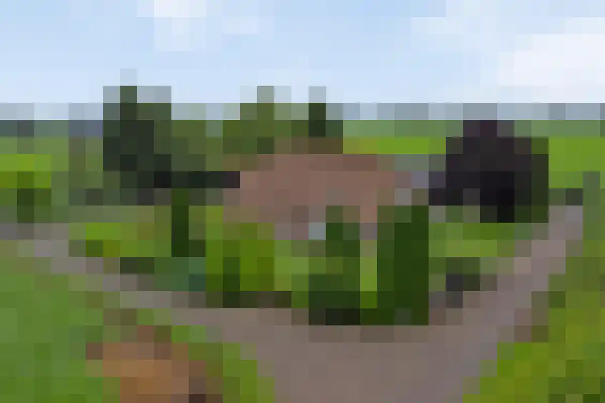 de Jongstraat 7 Mariënheem thumbnail 31