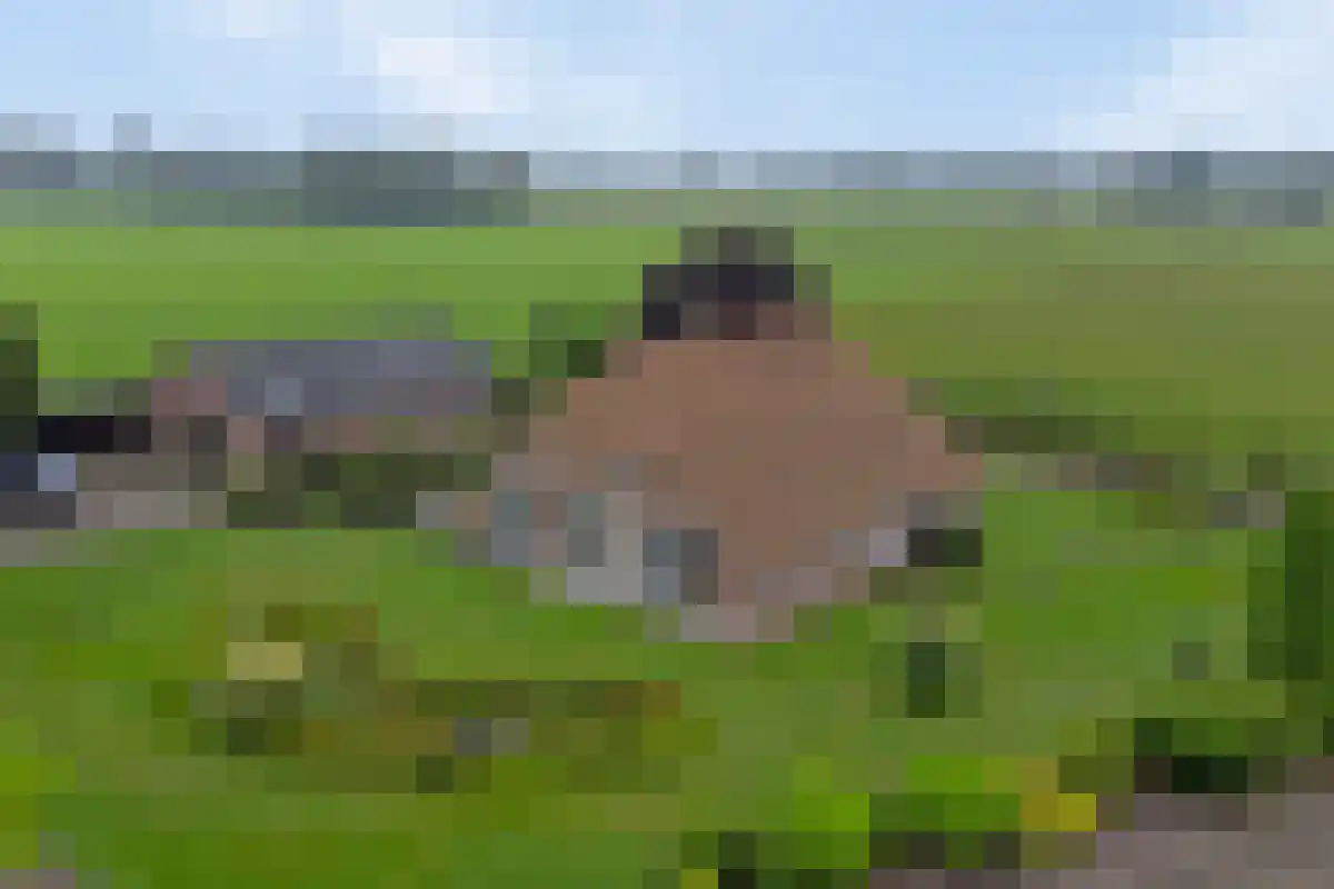 de Jongstraat 7 Mariënheem thumbnail 4