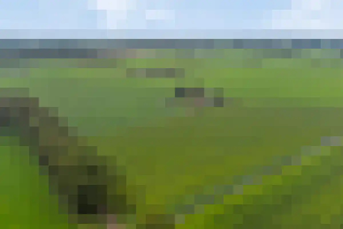 de Jongstraat 7 Mariënheem thumbnail 51