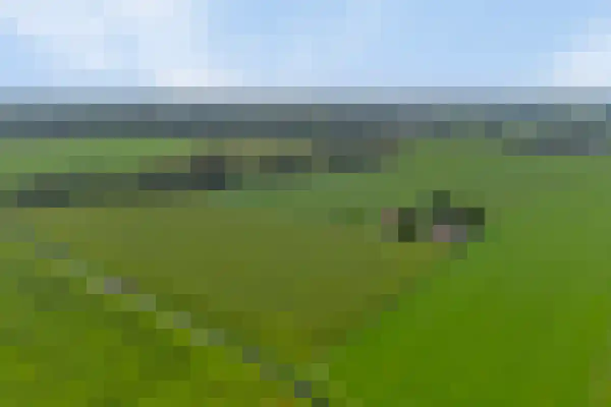 de Jongstraat 7 Mariënheem thumbnail 54