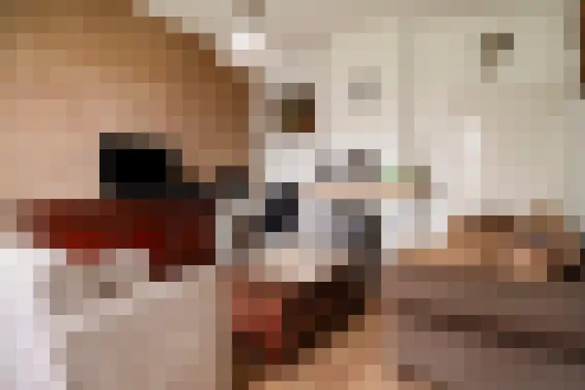 de Jongstraat 7 Mariënheem thumbnail 7