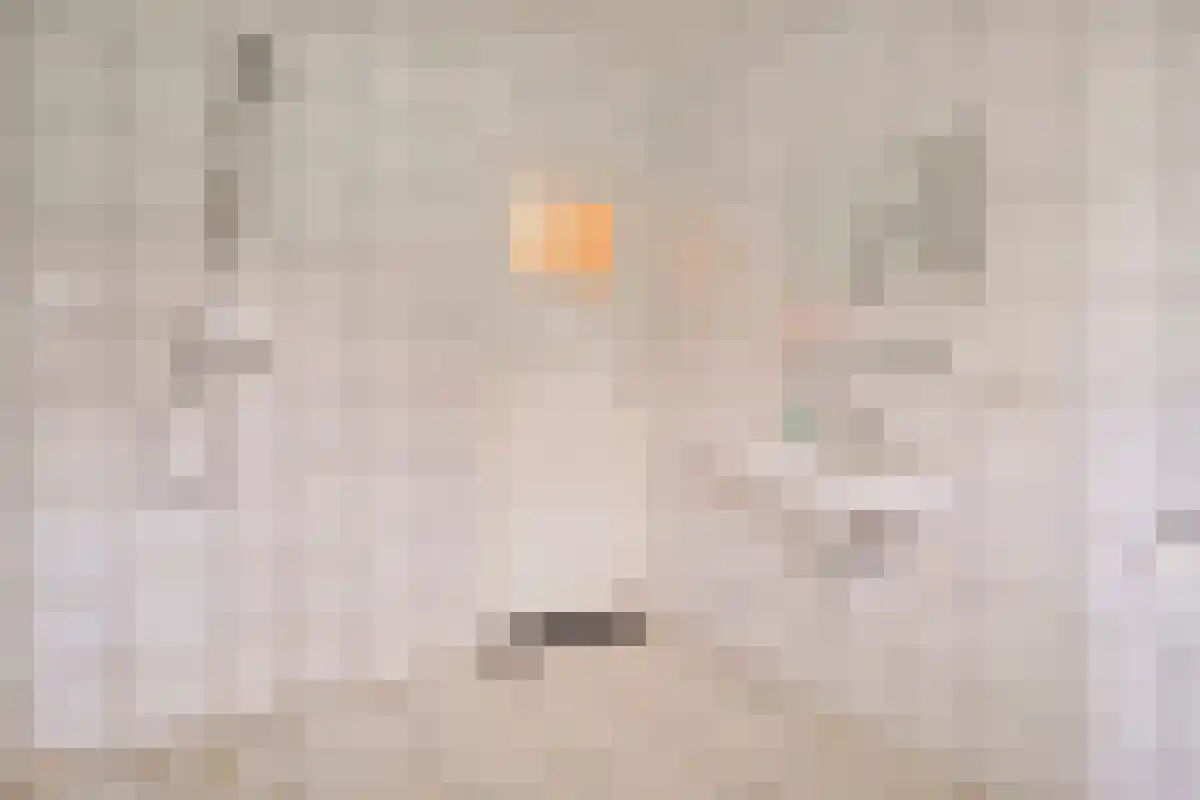 de Jongstraat 7 Mariënheem thumbnail 8
