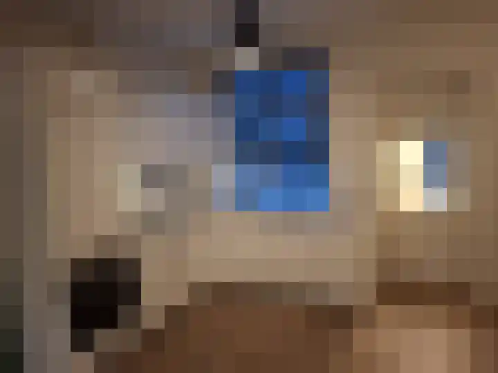De Josselin de Jongstraat 4 Dordrecht thumbnail 4