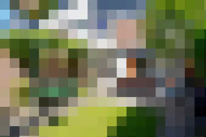 De Josselin de Jongstraat 41 Rosmalen thumbnail 17