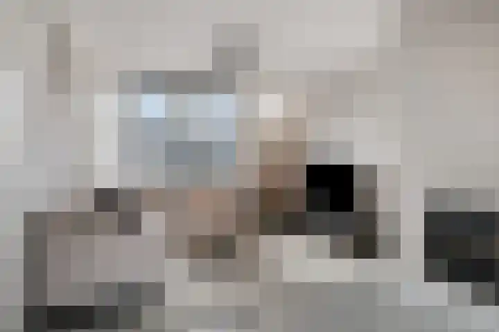 De Josselin de Jongstraat 86 Rosmalen thumbnail 10
