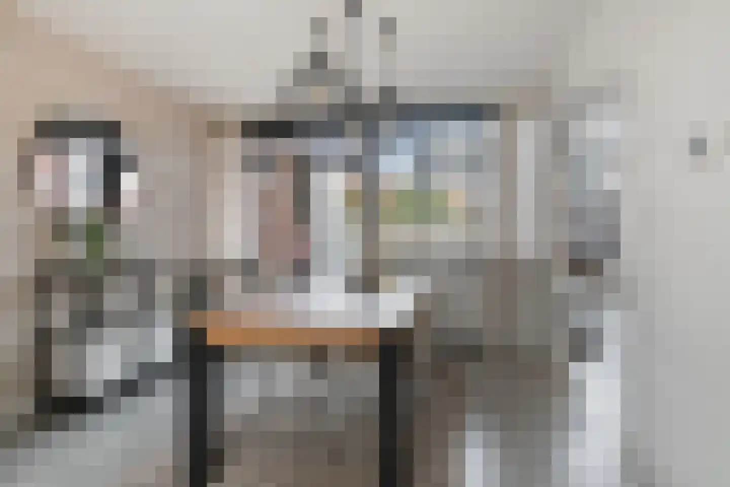De Josselin de Jongstraat 86 Rosmalen thumbnail 14