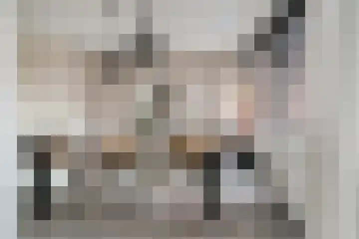 De Josselin de Jongstraat 86 Rosmalen thumbnail 17