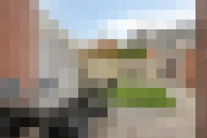 De Josselin de Jongstraat 86 Rosmalen thumbnail 31