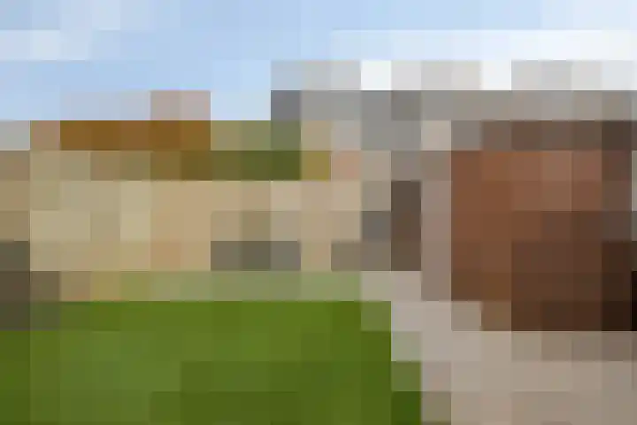 De Josselin de Jongstraat 86 Rosmalen thumbnail 32