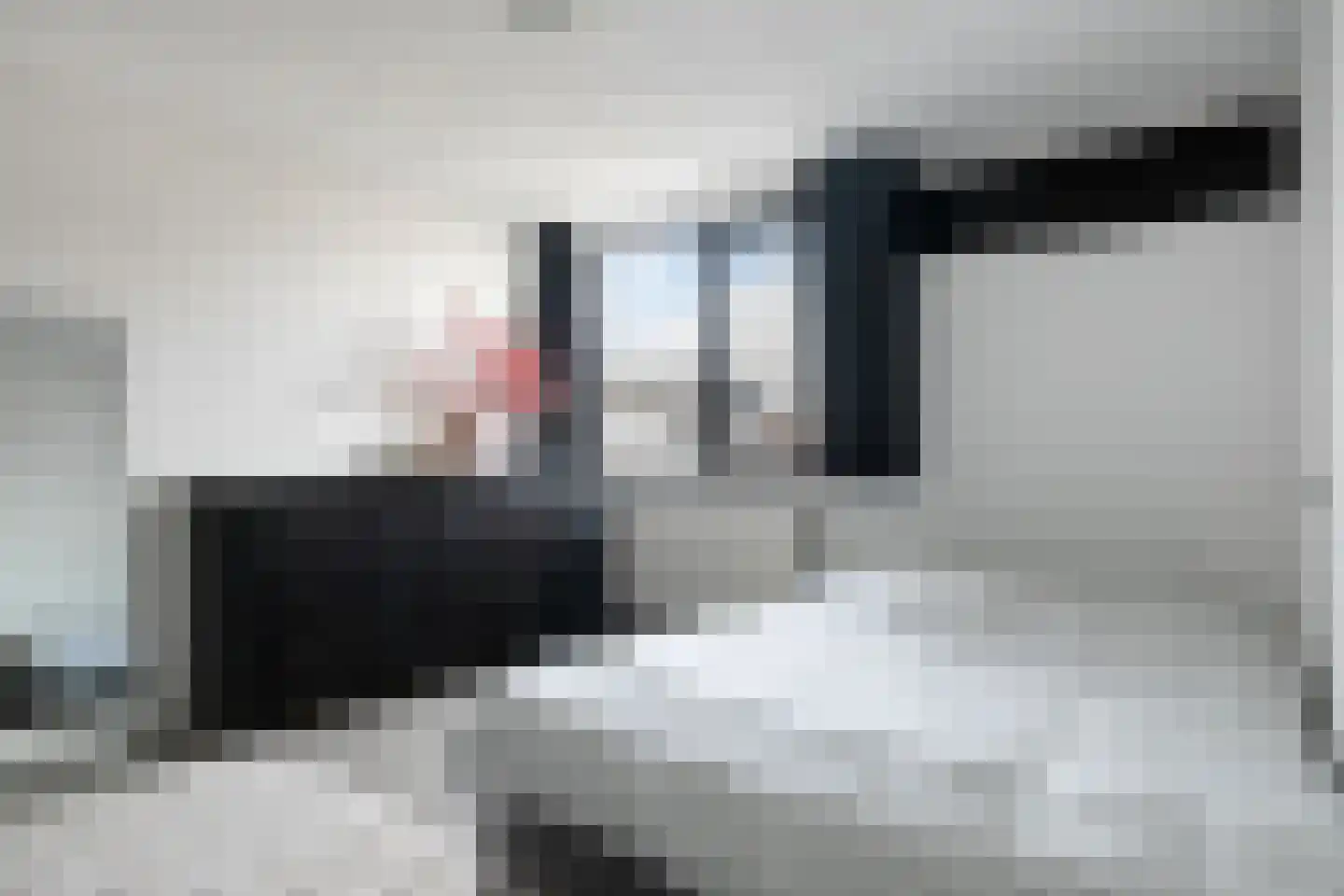 De Josselin de Jongstraat 86 Rosmalen thumbnail 4