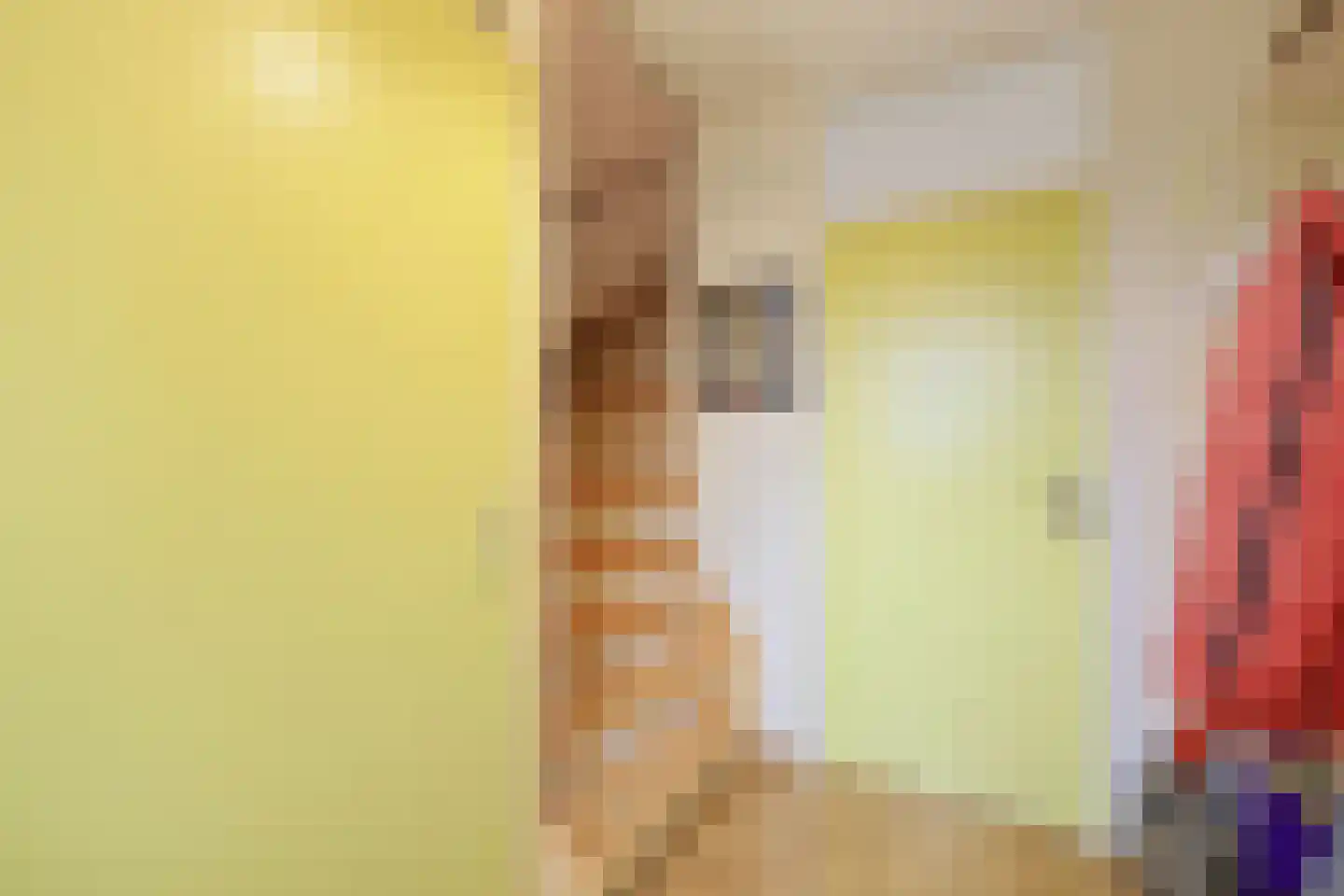 De Juffer 10 Uitgeest thumbnail 10