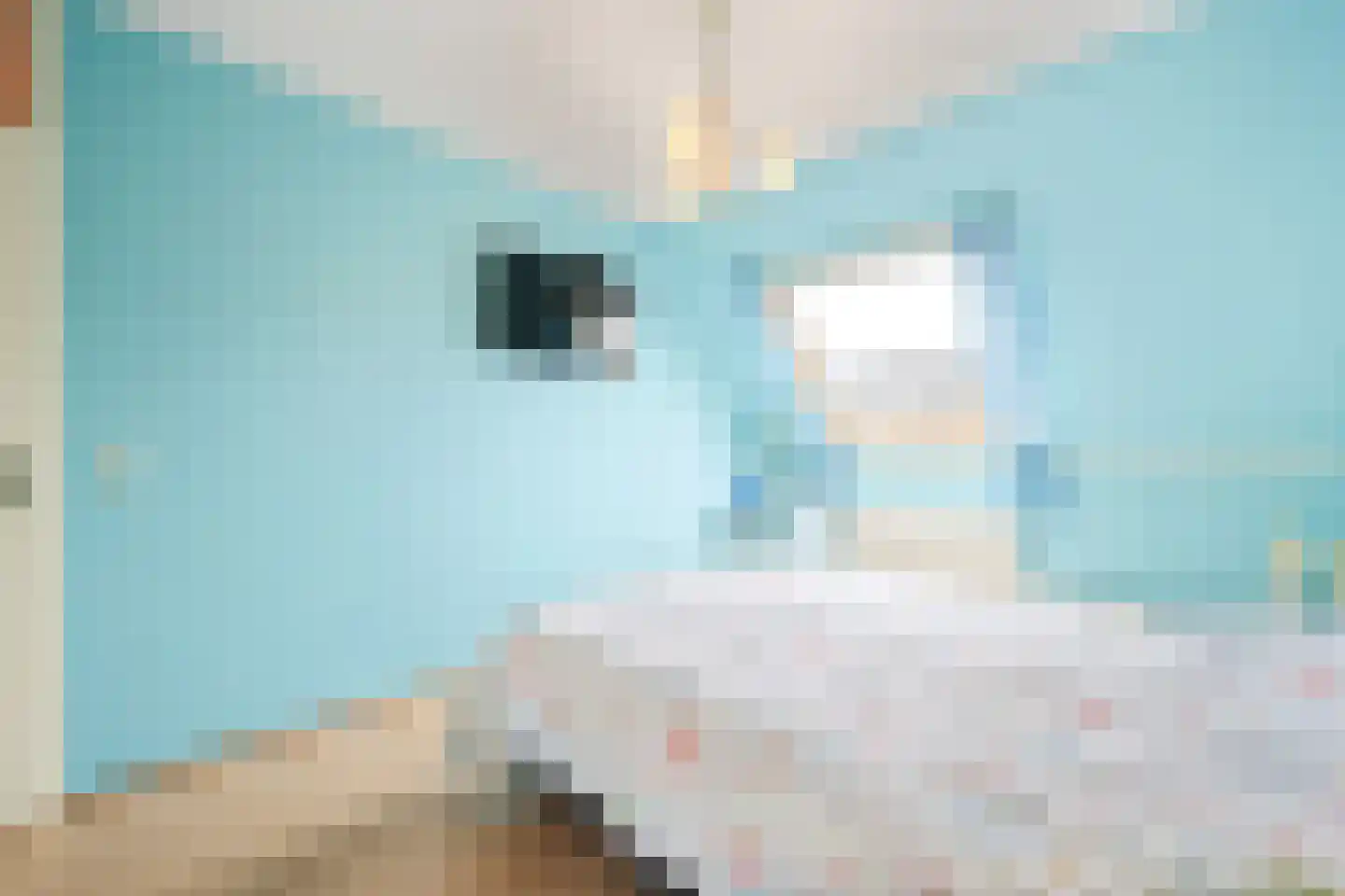 De Juffer 10 Uitgeest thumbnail 15