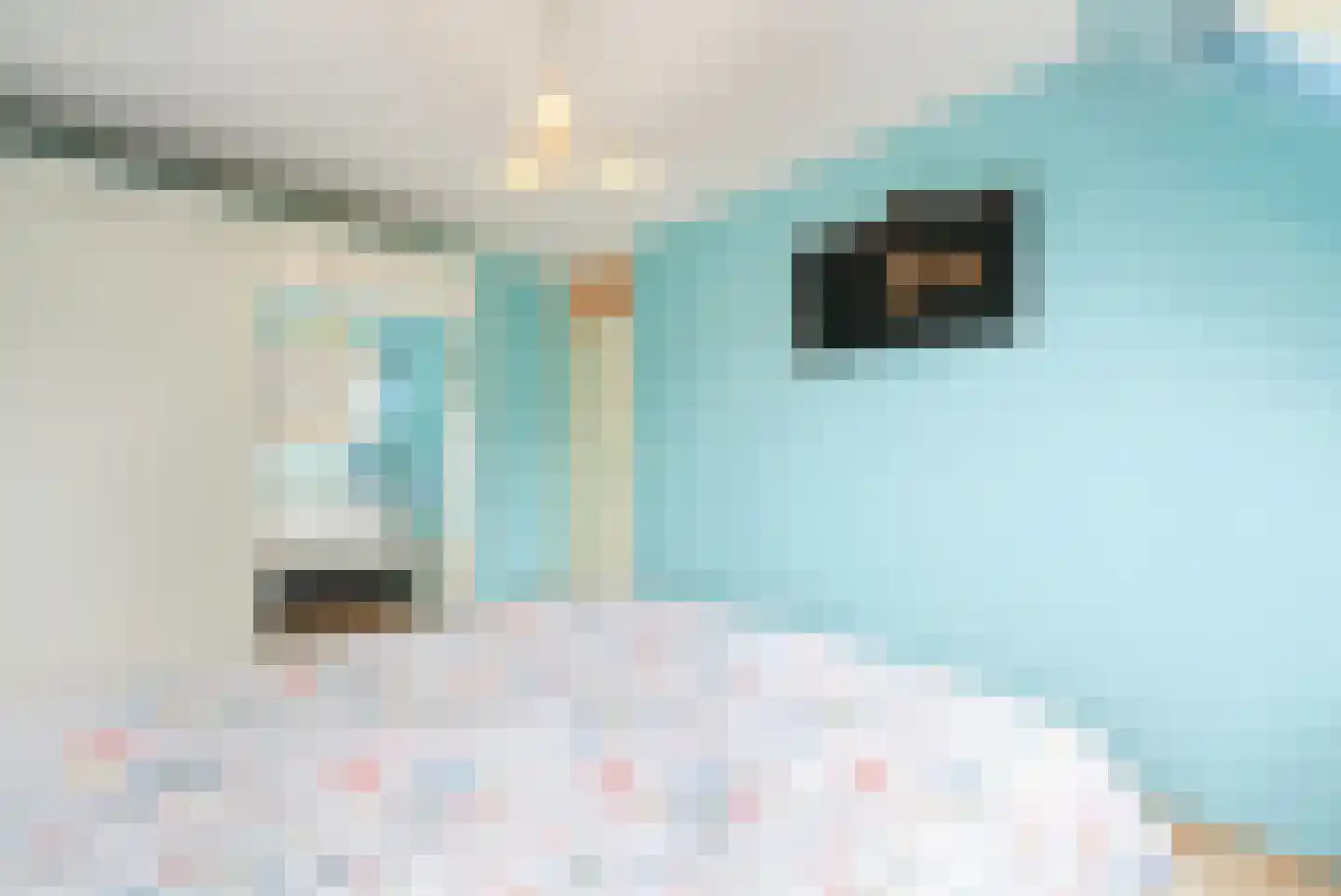 De Juffer 10 Uitgeest thumbnail 16