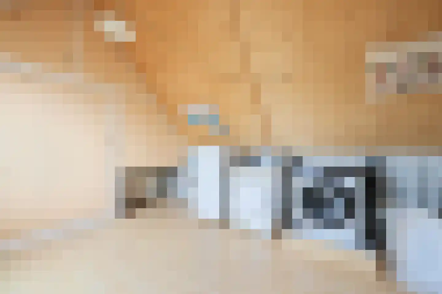 De Juffer 10 Uitgeest thumbnail 25