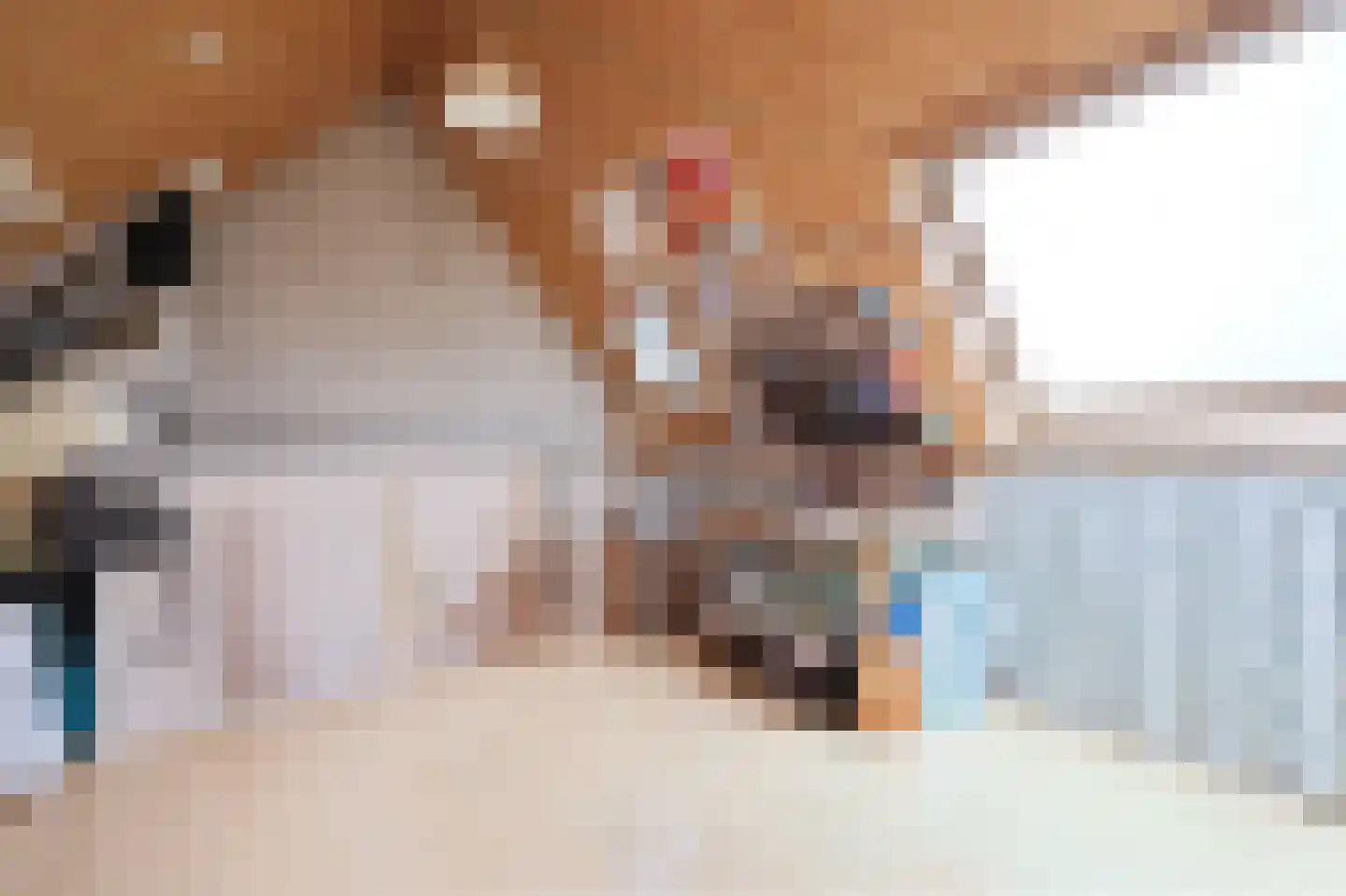 De Juffer 10 Uitgeest thumbnail 27