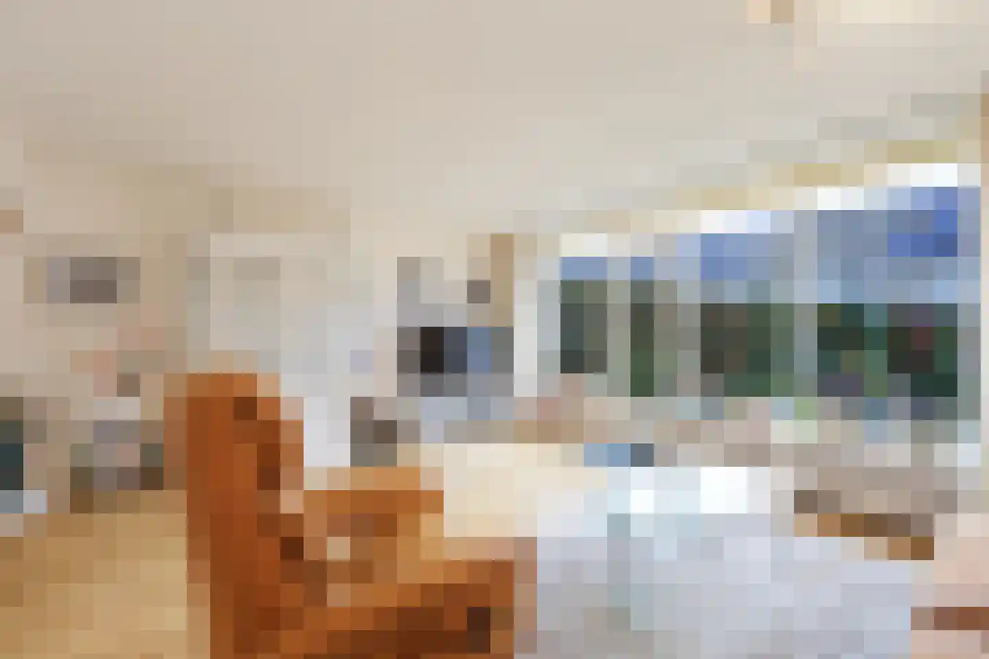 De Juffer 10 Uitgeest thumbnail 7
