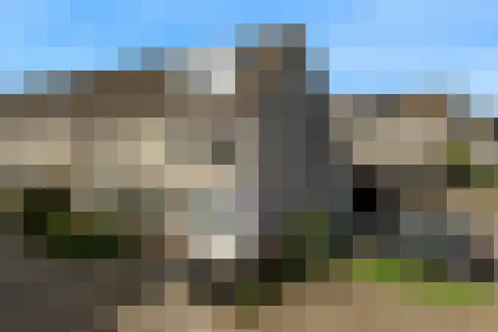 De Juffer 2 en Uitgeest
