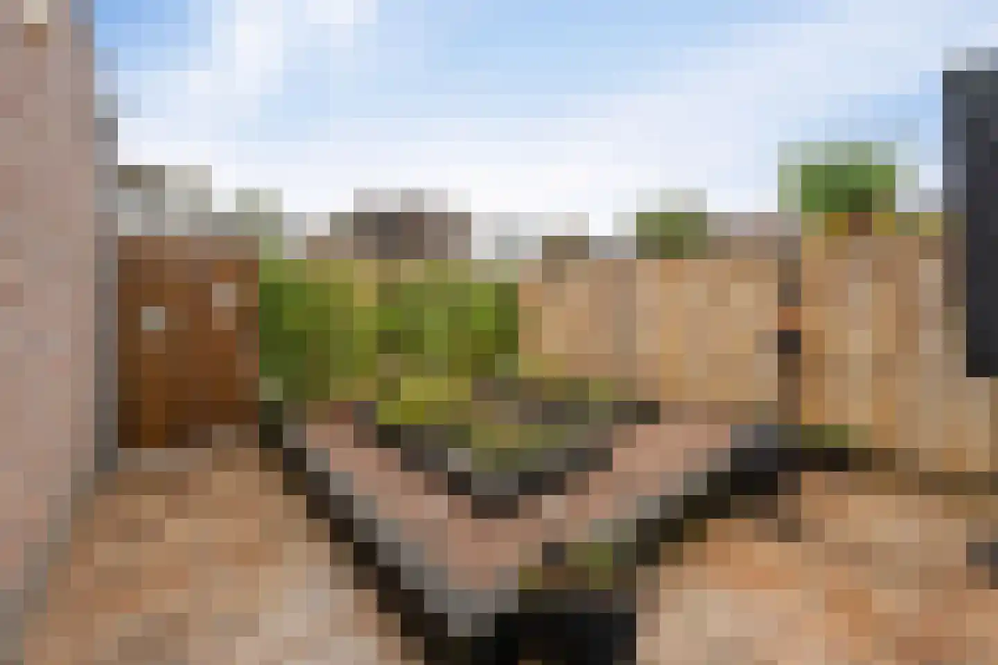 de Jura 16 Emmeloord thumbnail 17