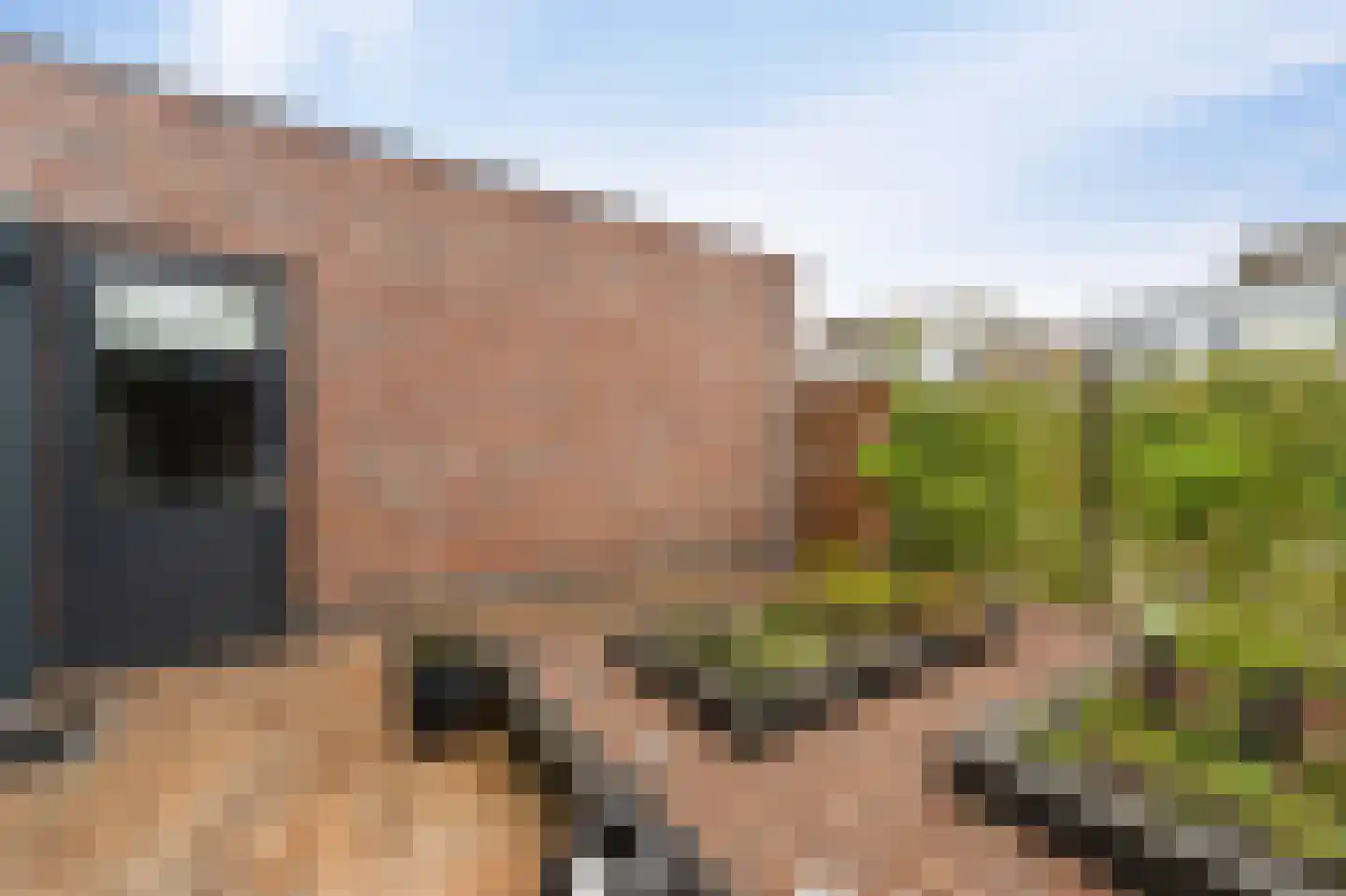 de Jura 16 Emmeloord thumbnail 18