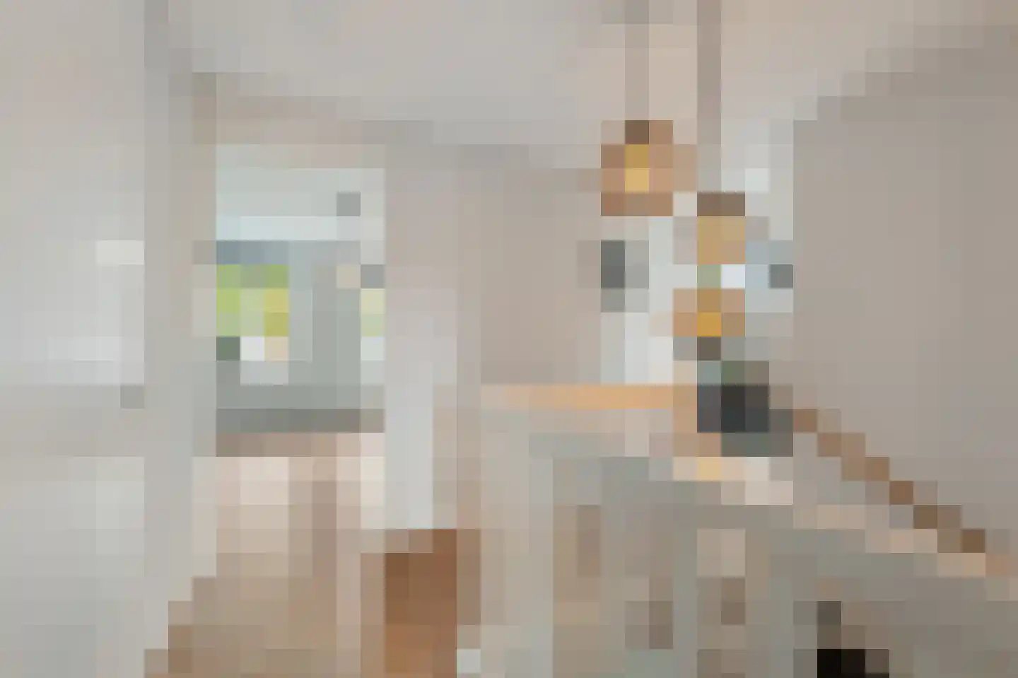 de Jura 16 Emmeloord thumbnail 30