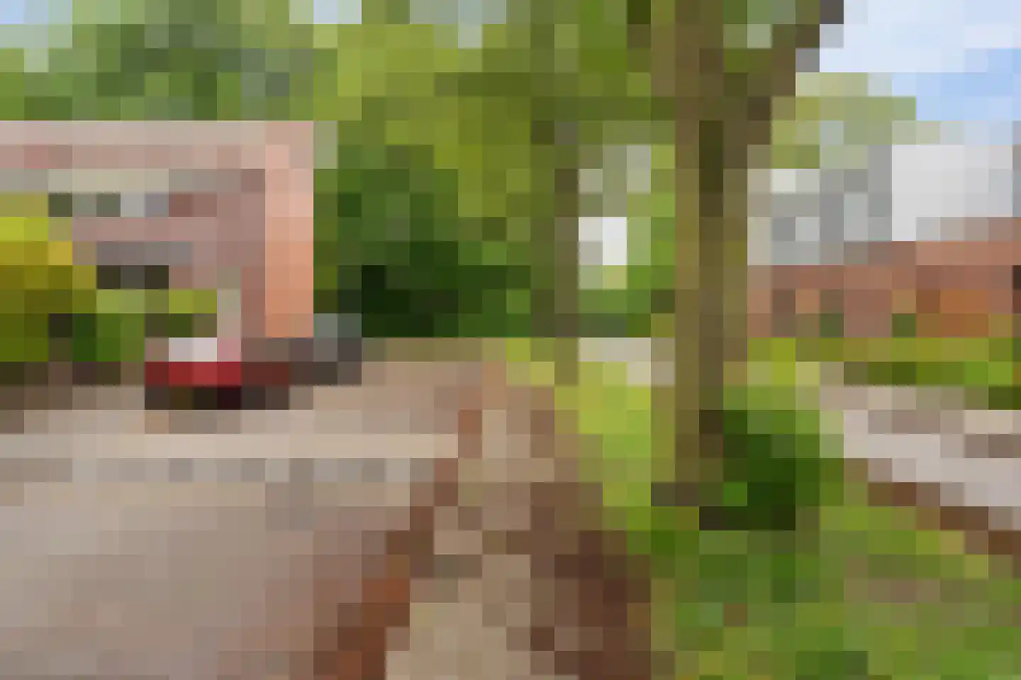 de Jura 16 Emmeloord thumbnail 43