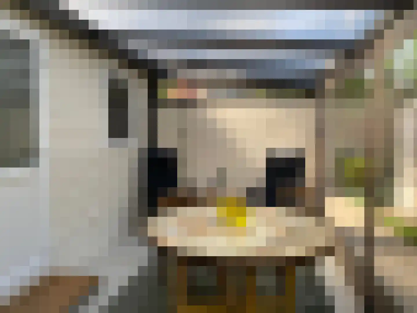 De Jutberg 78 30 Laag-Soeren thumbnail 15